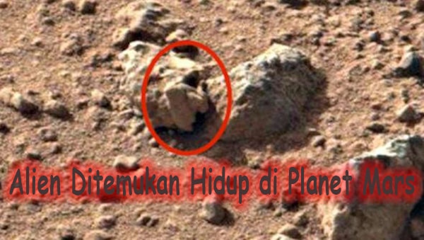 Alien Ditemukan Hidup di Planet Mars